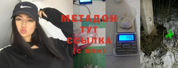 сатива Бородино