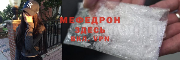 сатива Бородино