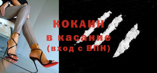 сатива Бородино