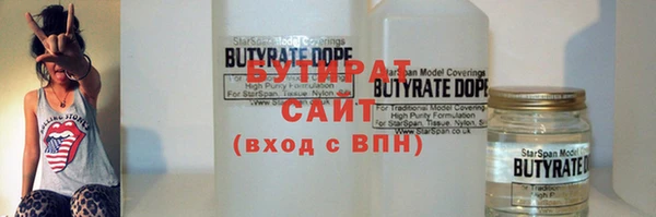 сатива Бородино
