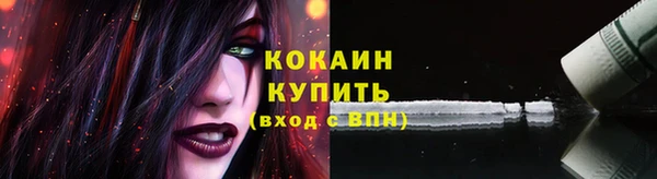 сатива Бородино
