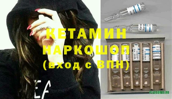 сатива Бородино