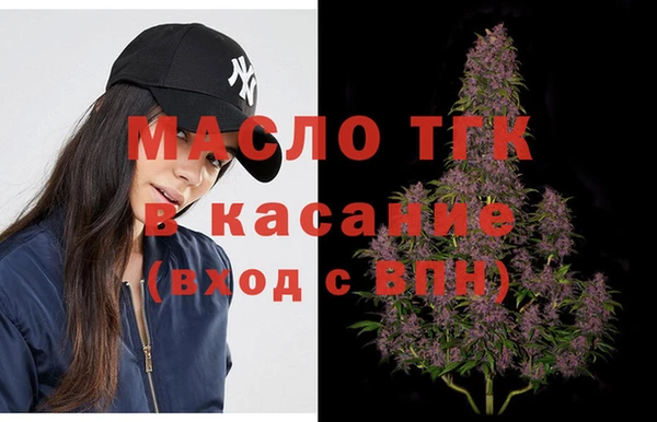 сатива Бородино